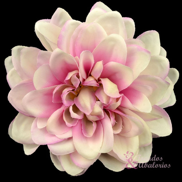 FLOR DALHIA ANTEA