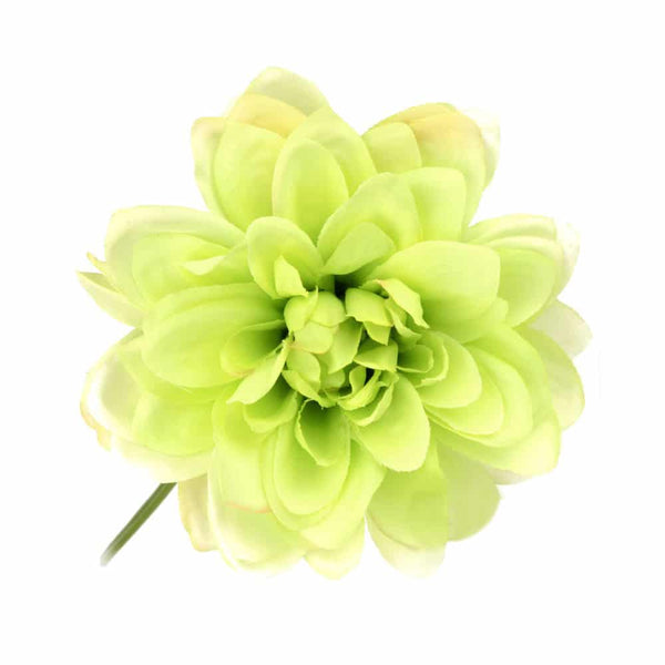 029-Verde claro