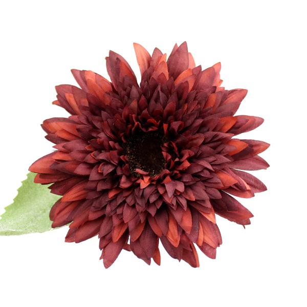 Flor Scarlet 11-14cm granate