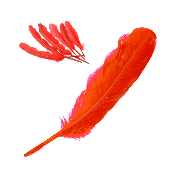 Pack 20 ud Pluma Anade rojo