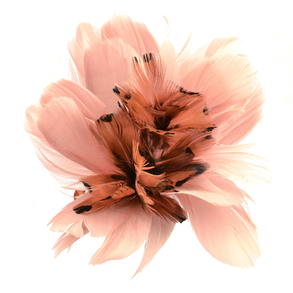 045-Rosa