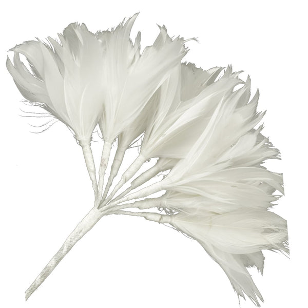 044-Blanco