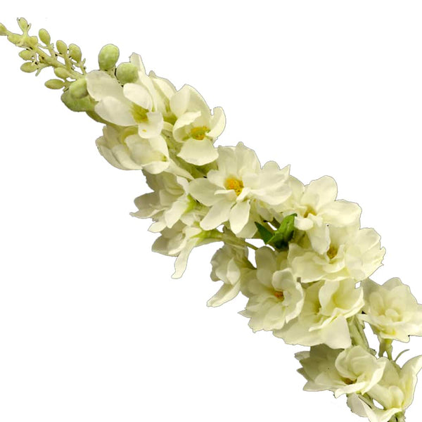 RAMILLETE DELPHINIUM crudo