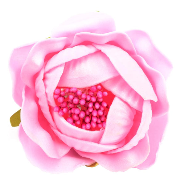 ROSAPOLA 7 cm rosa