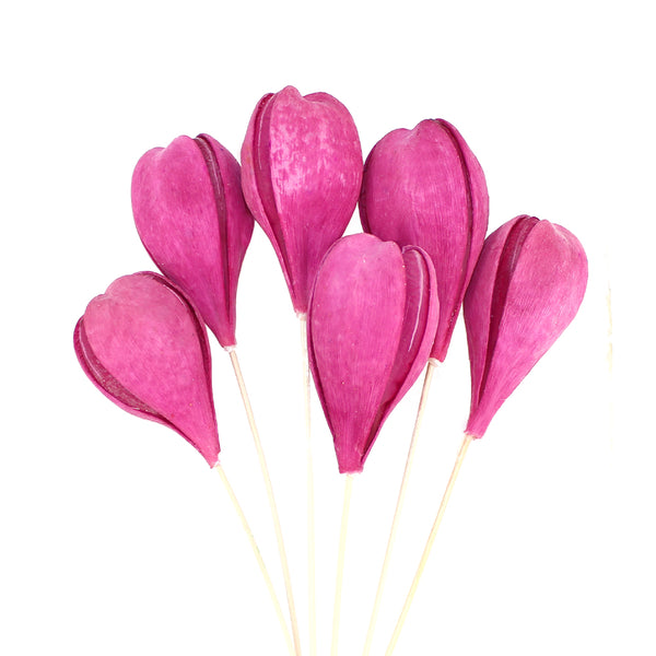 ROSAS TEFE PRESERVADAS buganvilla