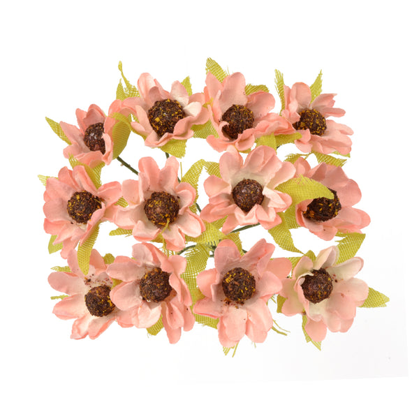 Ramillete de margaritas silvestre rosa