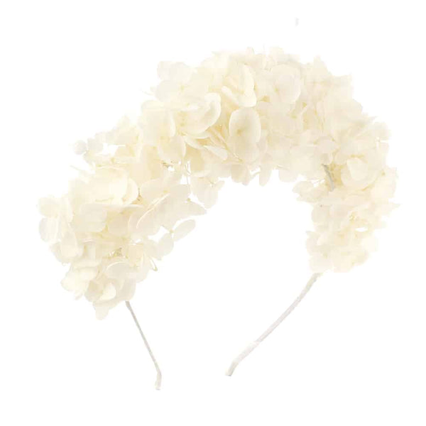 diadema paola crudo