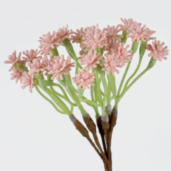 flor escarcha