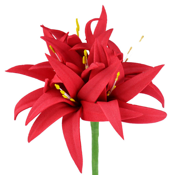 flor lirio azuzena rojo