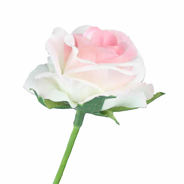 rosa 5 cm rosa
