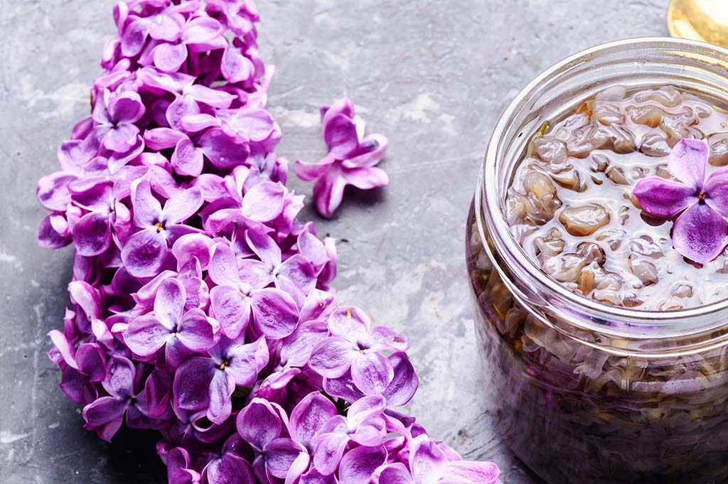 flores_preservadas