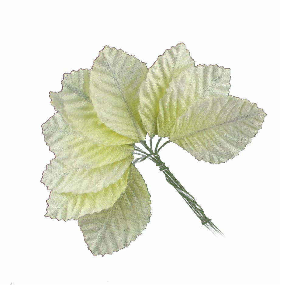 10 hoja antelina 4x3 cm crudo