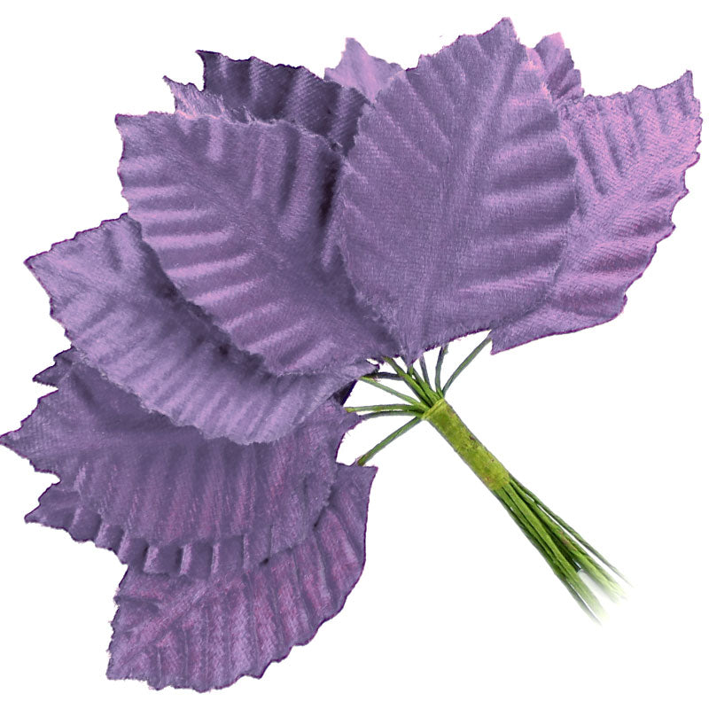 12 HOJAS TALLIN MORADO