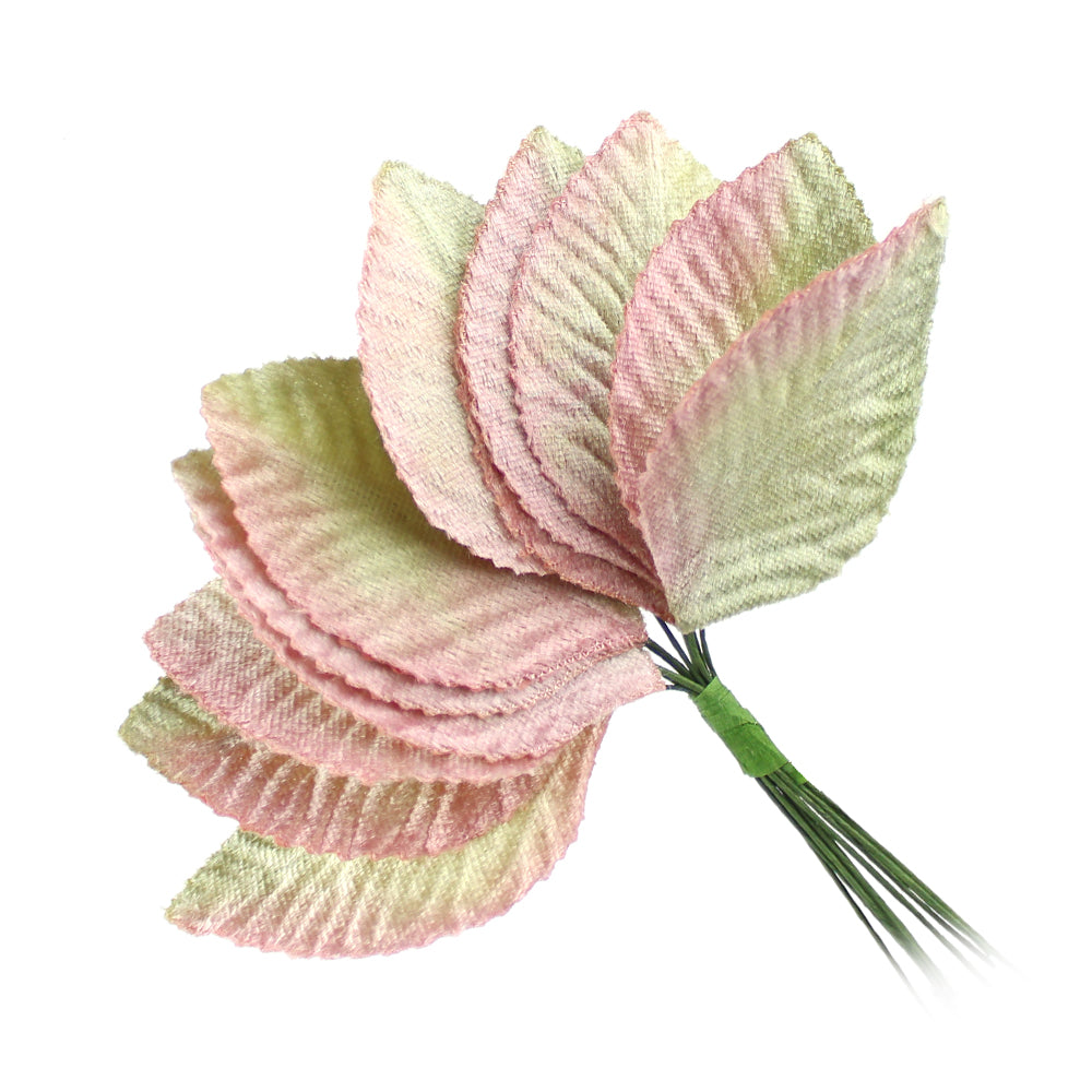 12 HOJAS TALLÍN rosa nude