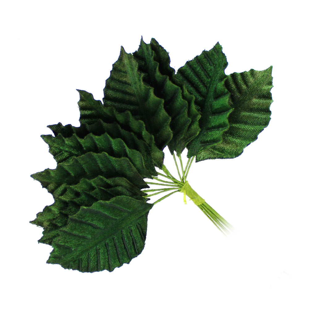 12 HOJAS TALLÍN verde oliva