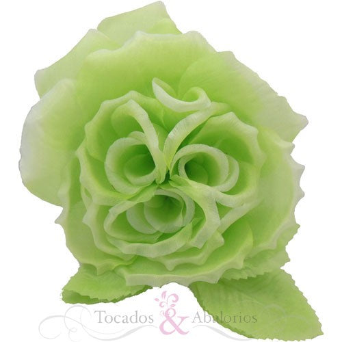 Flor triple cáliz