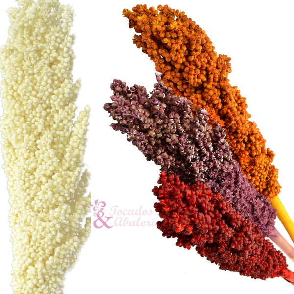 SEMILLAS SORGO PRESERVADO