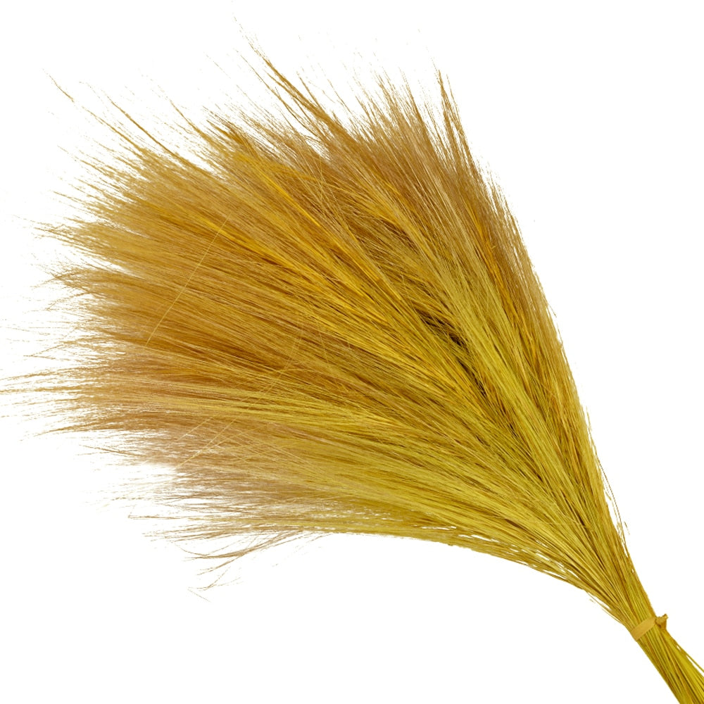 BARBA FINA PRESERVADA mostaza