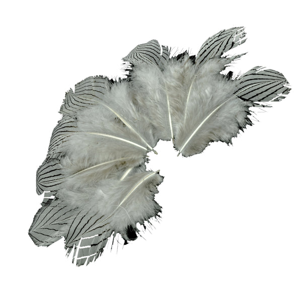 Bolsa Plumas faisán plata 8-10 CM gris plata