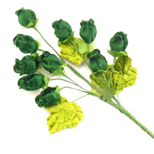 Capullitos de terciopelo verde