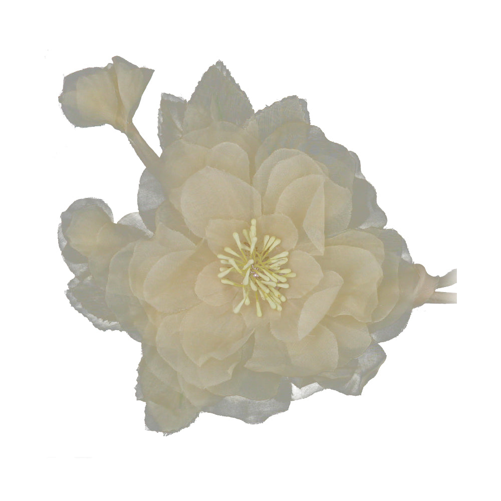 FLOR MONIQUE crudo