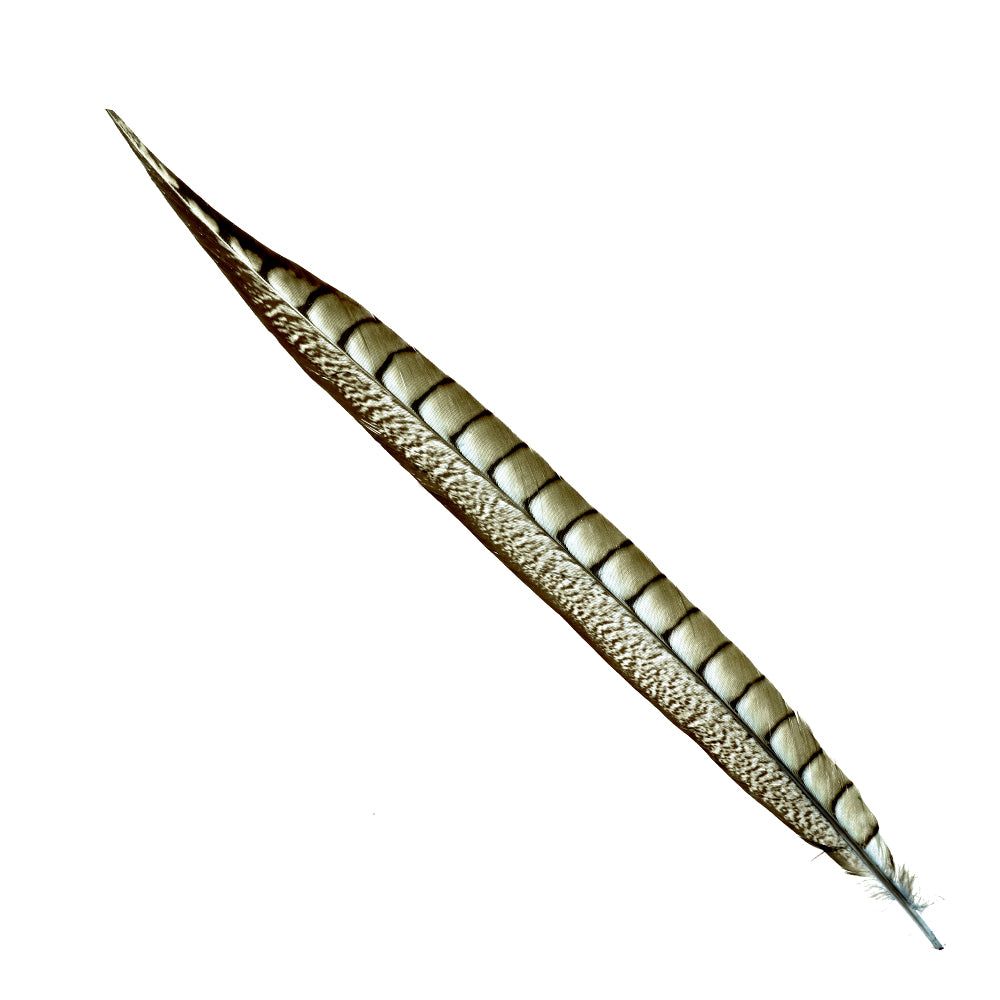 Faisán Lady 40 45 cm gris