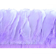 Vista 10