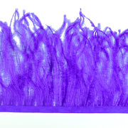 Vista 11