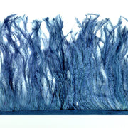 Vista 10