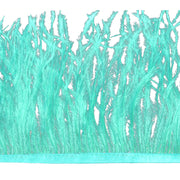 Vista 14