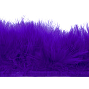 Vista 6