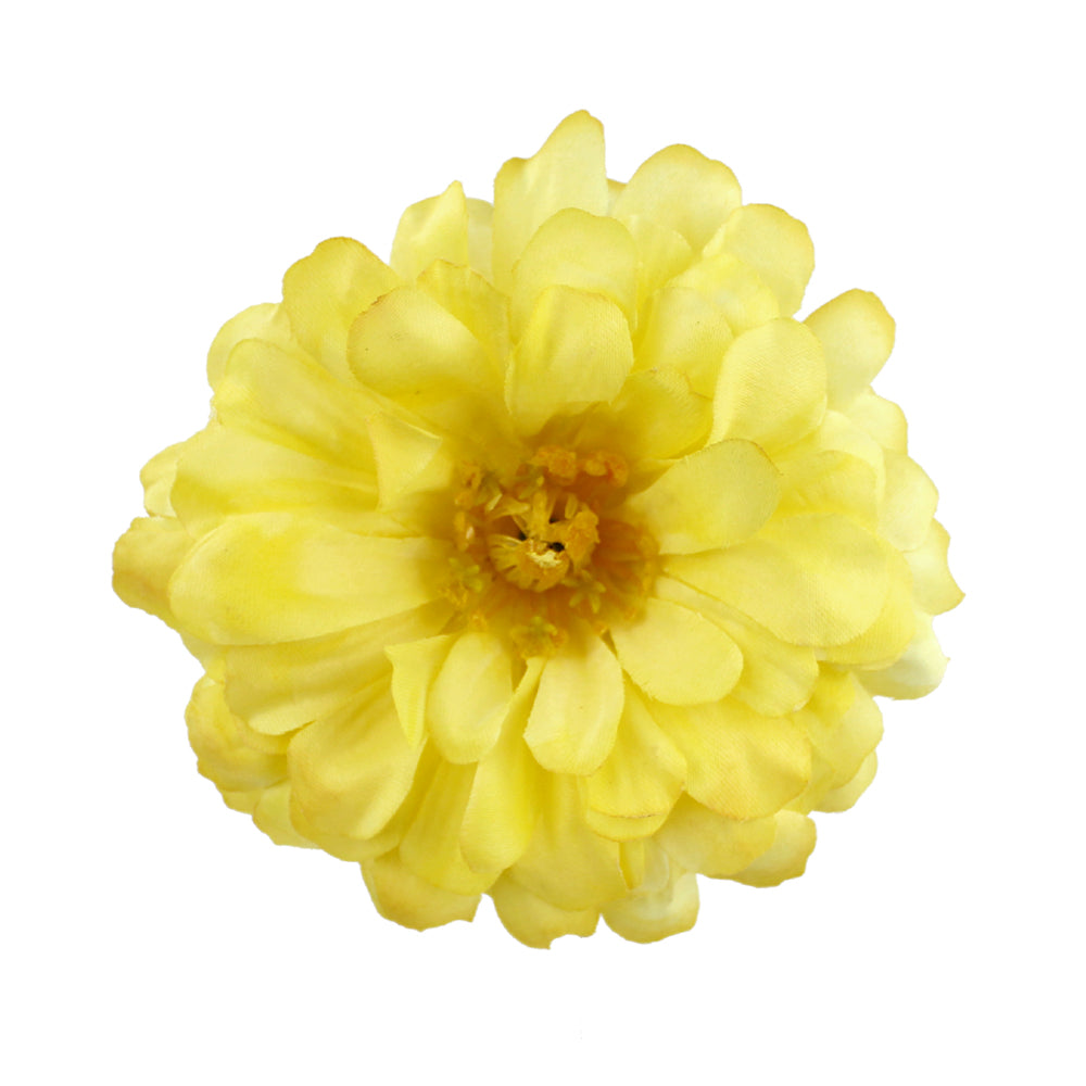 008-Amarillo