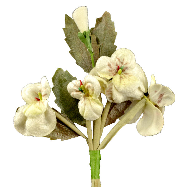 Florecillas Terciopelo buganvilla crudo