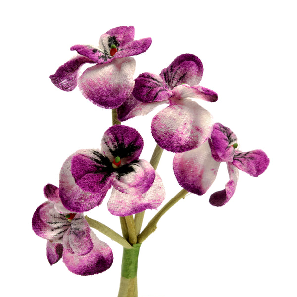 Florecillas Terciopelo buganvilla