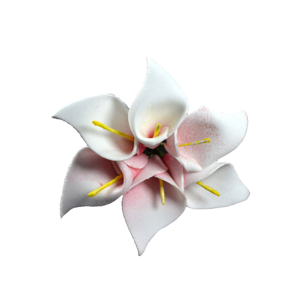 Gladiolo de foam rosa