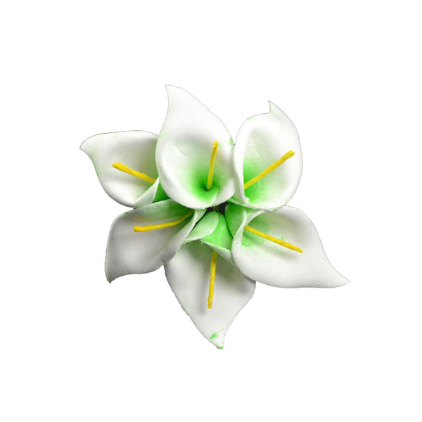 Gladiolo de foam verde
