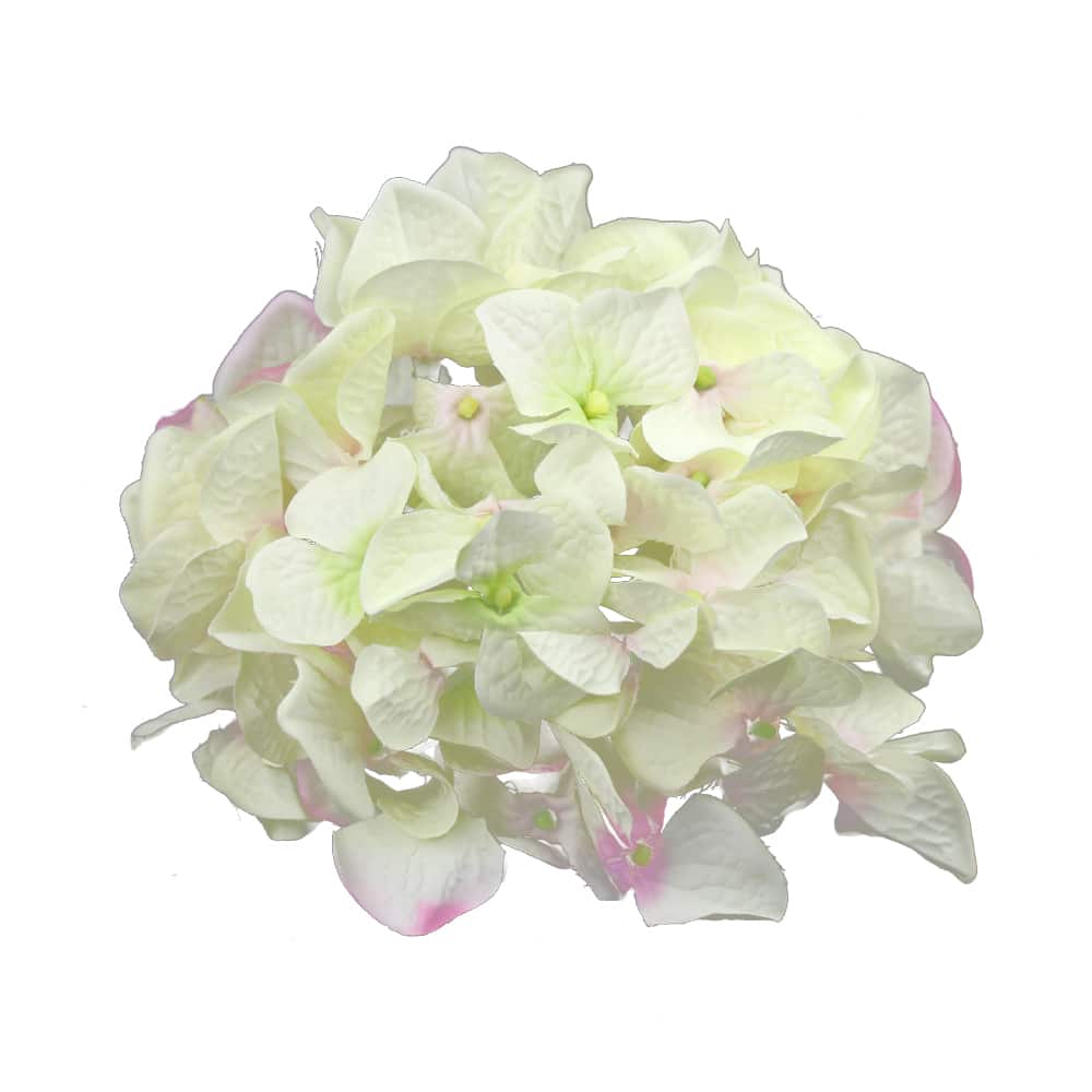 HORTENSIA TRACY crudo y rosa