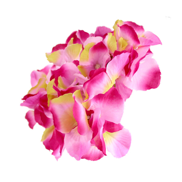 Hortensia Hydrangea 18 20 fucisa y rosa