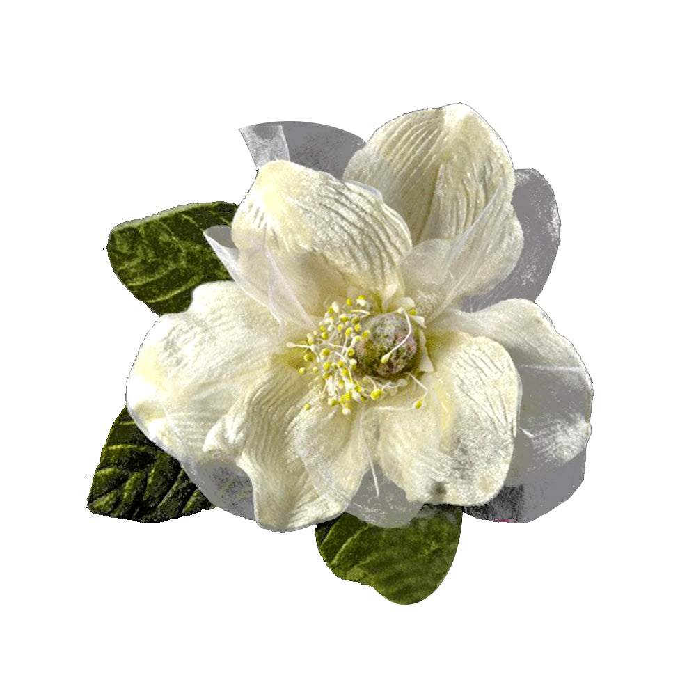 Magnolia de terciopelo crudo