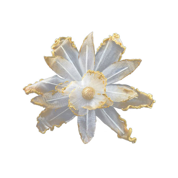 Orquidea perfilada de organdí beige