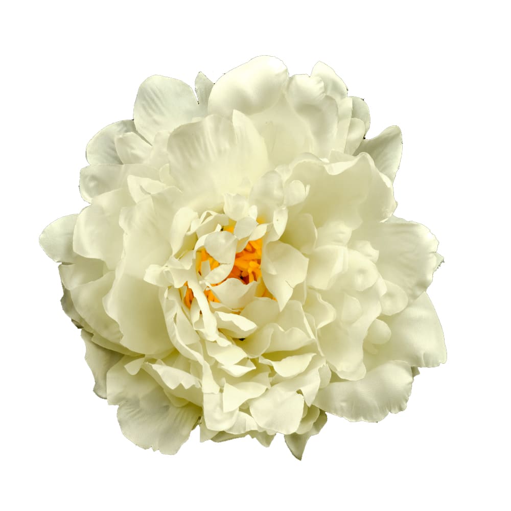 PEONÍA AMBER 14 CM blanco