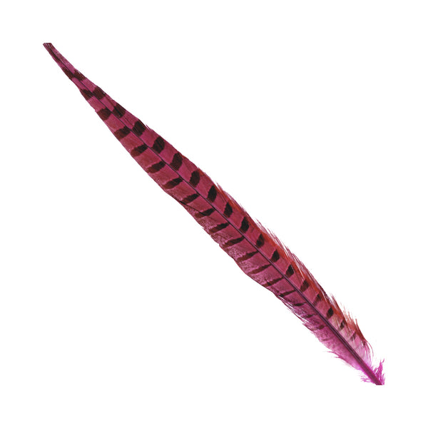 PLUMA FAISÁN COMÚN 30 35 CM FUCSIA