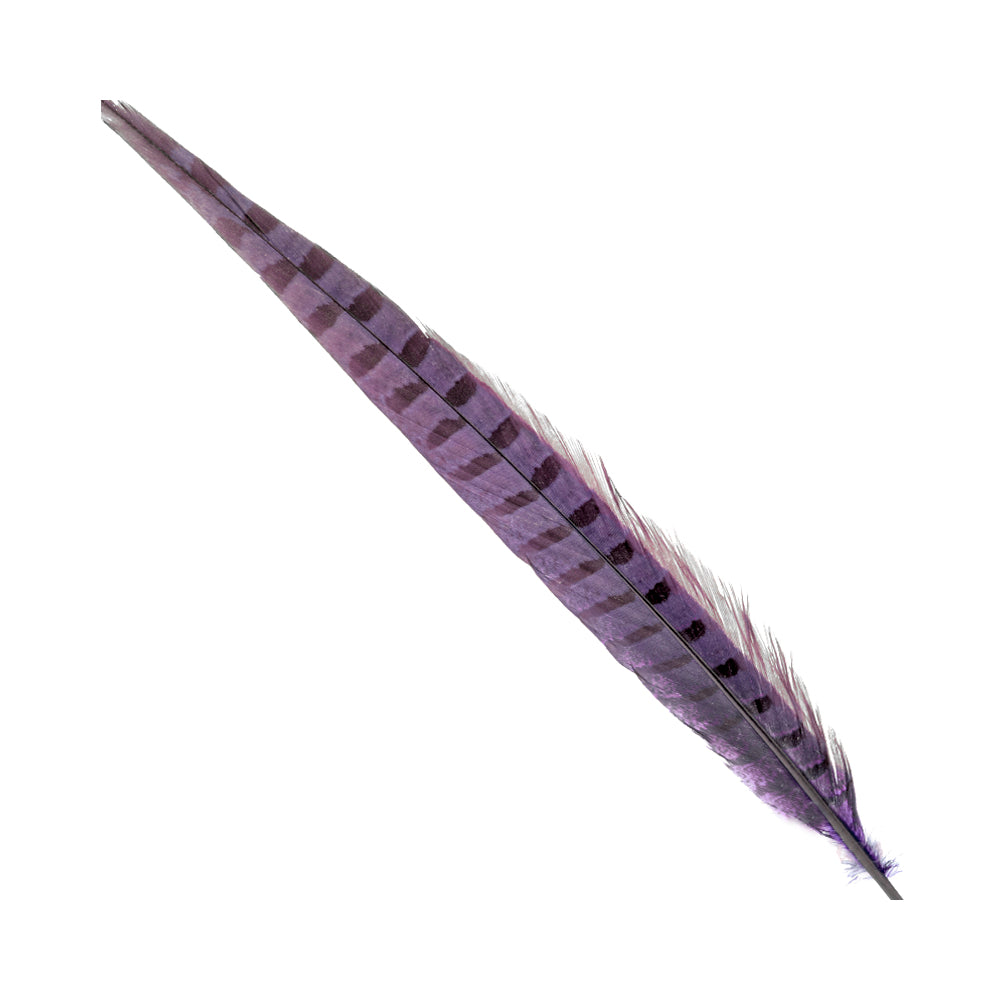 PLUMA FAISÁN COMÚN 30 35 CM LILA