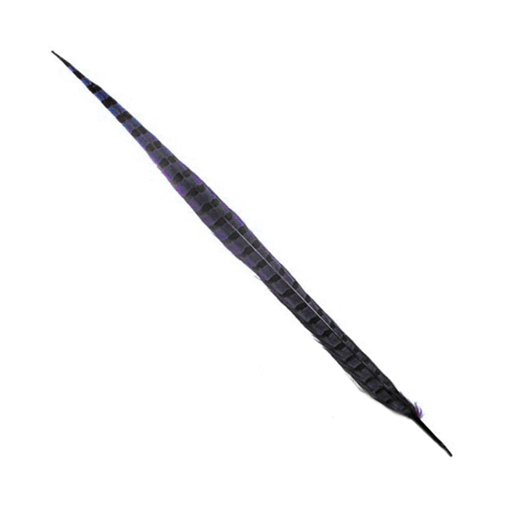 PLUMA FAISÁN COMÚN 40 45 CM MORADO