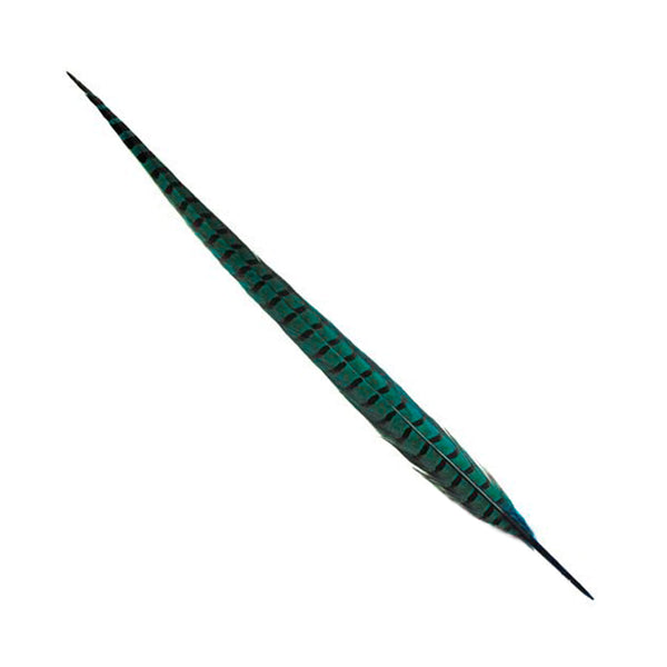 PLUMA FAISÁN COMÚN 40 45 CM TURQUESA