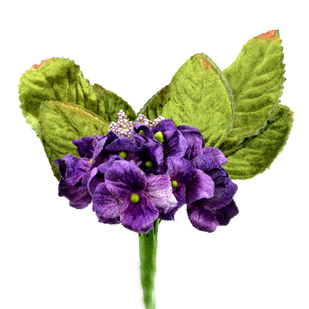 Petunia de terciopelo MORADO