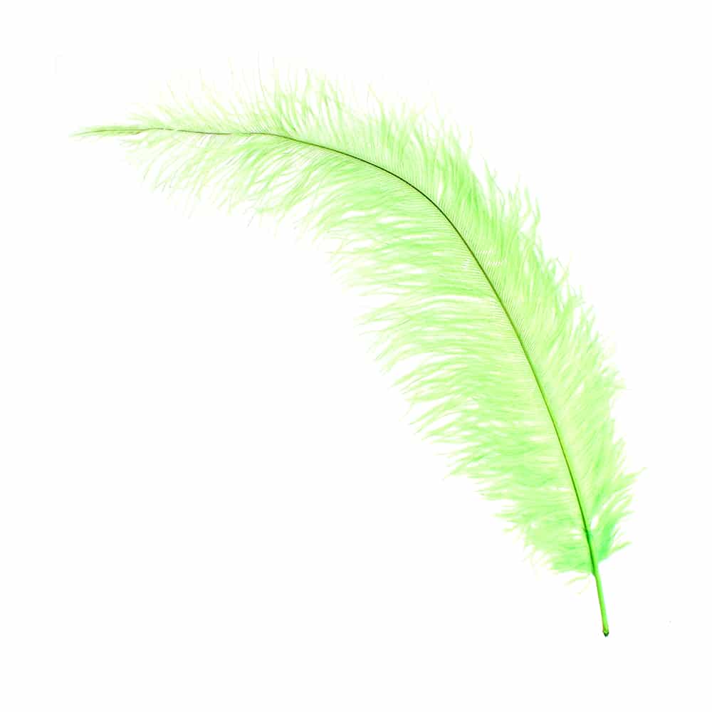 Pluma Avestruz 35 pistacho