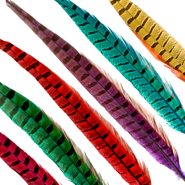 Pluma Fais C3 A1n com C3 BAn 30 35 CM portada