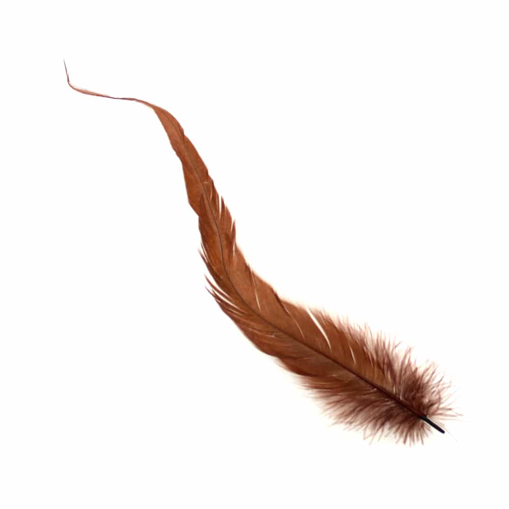 Pluma gallo 18 25 cm c defec chocolate