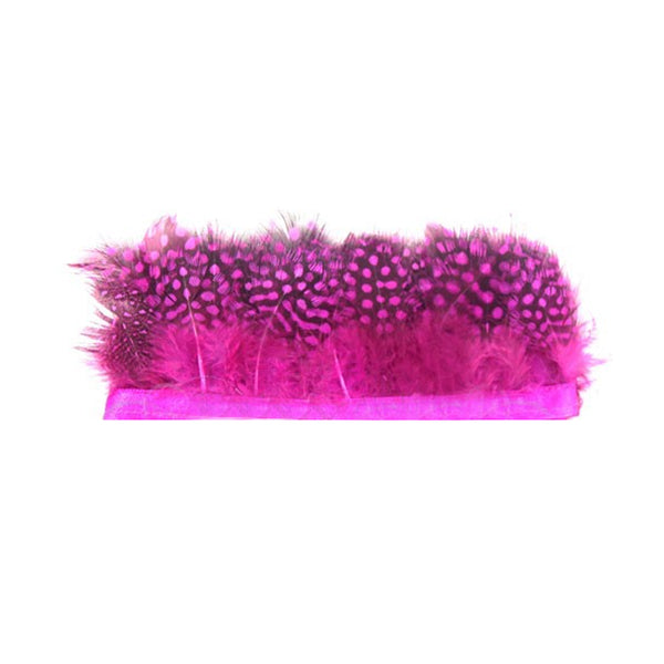 Plumas Fleco Guinea buganvilla
